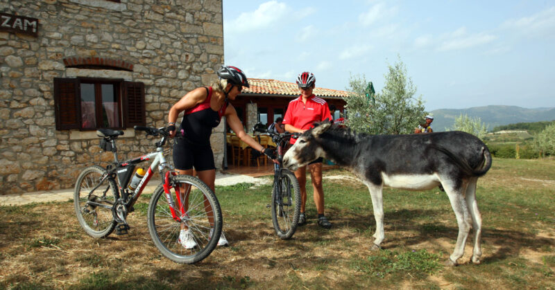 Bicikliranje za obitelji od Trsta do Poreča