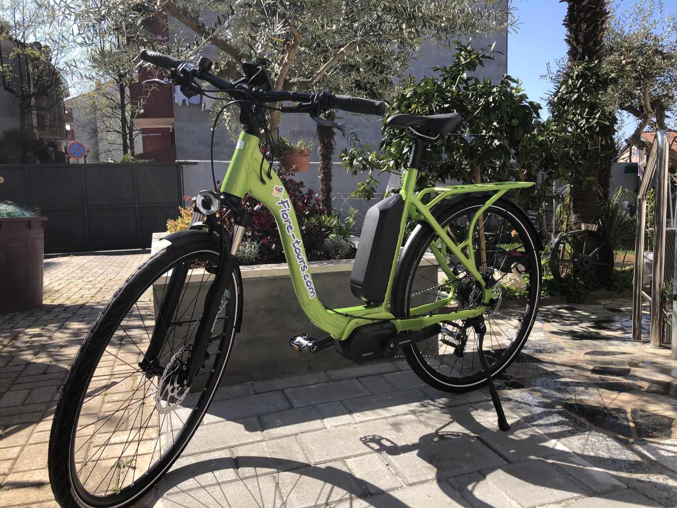 Custom built E-bikes „Musing“